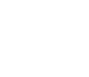 Anglo-American University