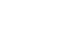 Falcon